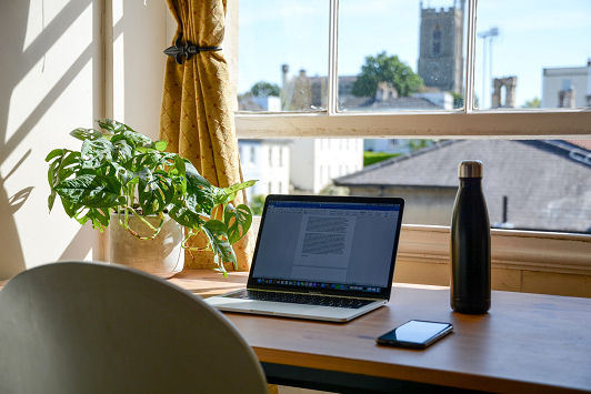 les meilleures plantes pour le bureau que vous devriez avoir