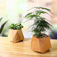 Petit pot de fleur intérieur